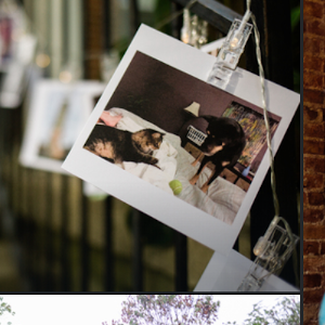 Wedding & Life Photos